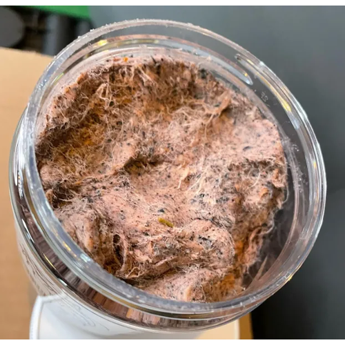 Jewel's Catfish Bait-Blood Fiber Jars