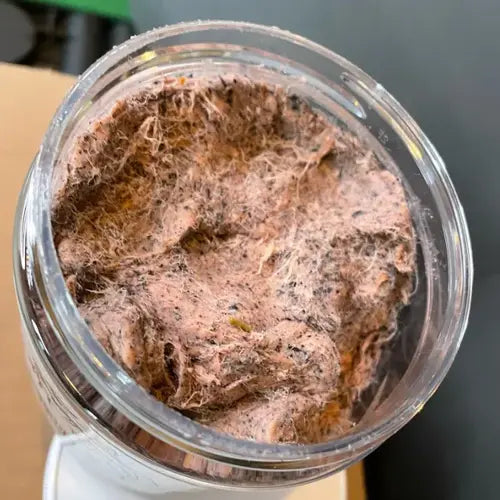 Jewel's Catfish Bait- Cheese Fiber Jars